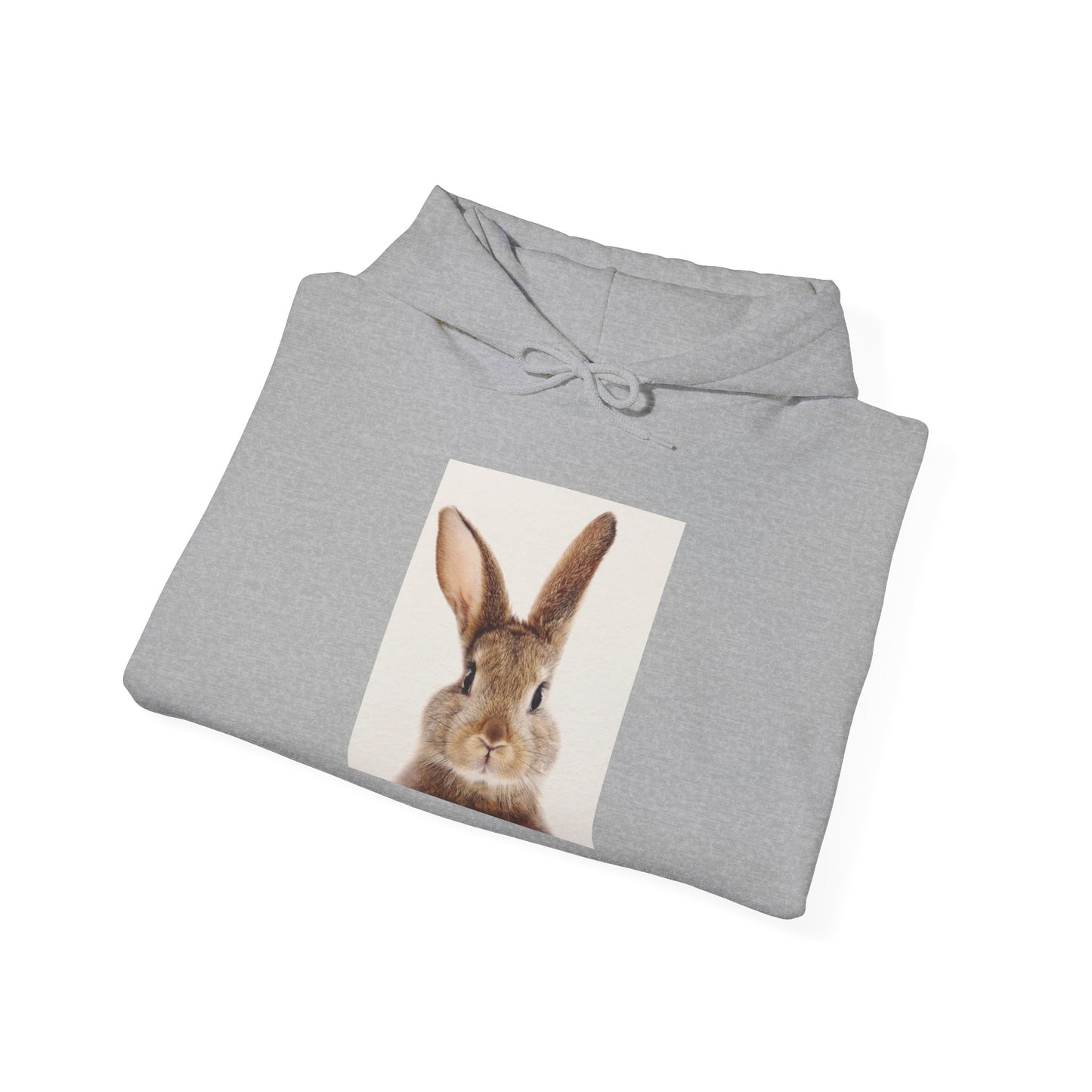 Alert bunny Hooded Sweatshirt