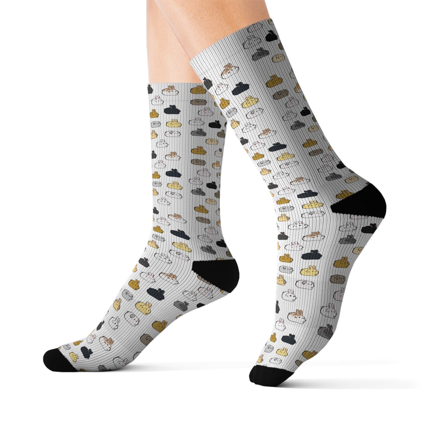 Bunnies breed  Socks